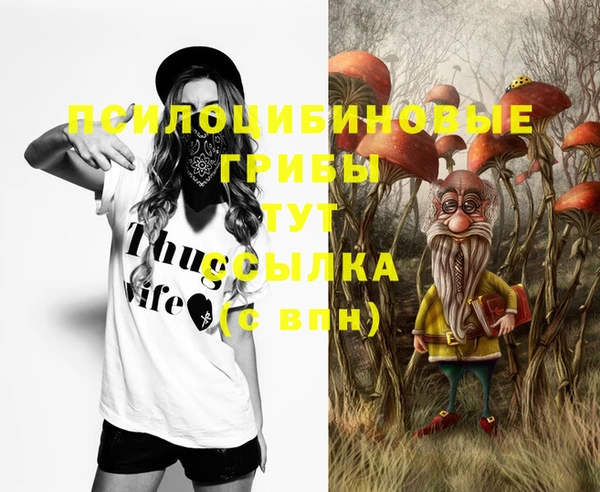 mdma Новозыбков