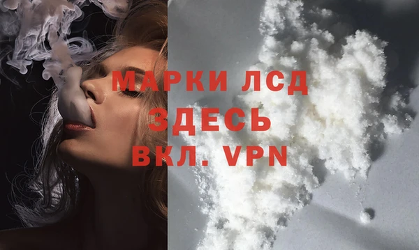 спиды Нефтекумск